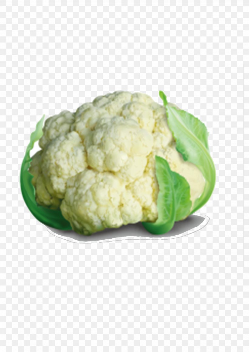 Cauliflower Broccoli Slaw Cabbage, PNG, 2480x3508px, Cauliflower, Broccoli, Broccoli Slaw, Brussels Sprout, Cabbage Download Free