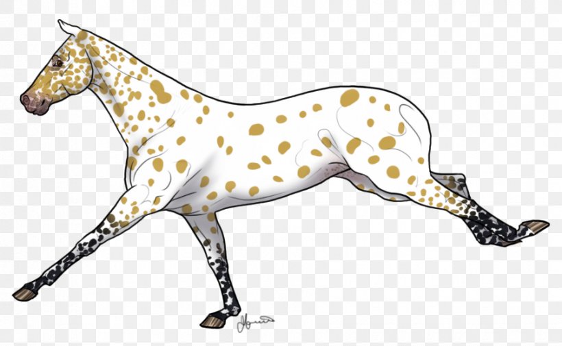 Dog Breed Italian Greyhound Mustang Non-sporting Group, PNG, 905x558px, Dog Breed, Animal, Animal Figure, Breed, Carnivoran Download Free