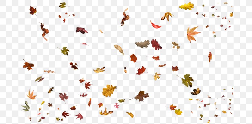 Leaf DeviantArt Clip Art, PNG, 699x404px, Leaf, Autumn, Branch, Deviantart, Flower Download Free