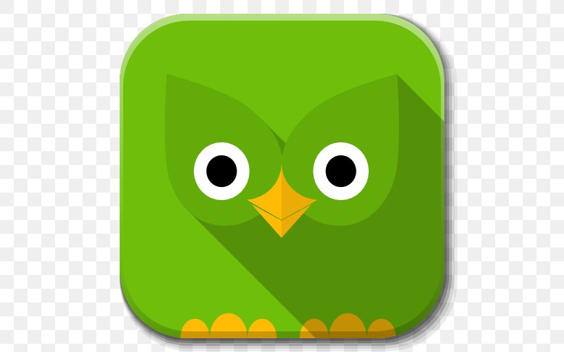 Owl Yellow Font, PNG, 512x512px, Duolingo, Beak, Bird, Bird Of Prey, Docente Download Free