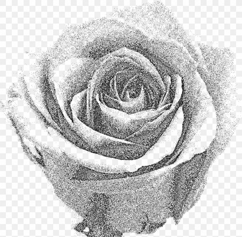 Rose Clip Art, PNG, 2375x2329px, Rose, Artwork, Black And White, Cut Flowers, Drawing Download Free