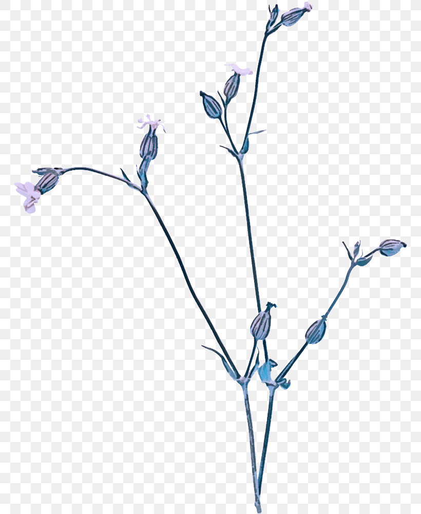 Twig Plant Stem Cut Flowers Petal Chicory, PNG, 766x1000px, Twig, Biology, Chicory, Cut Flowers, Flower Download Free