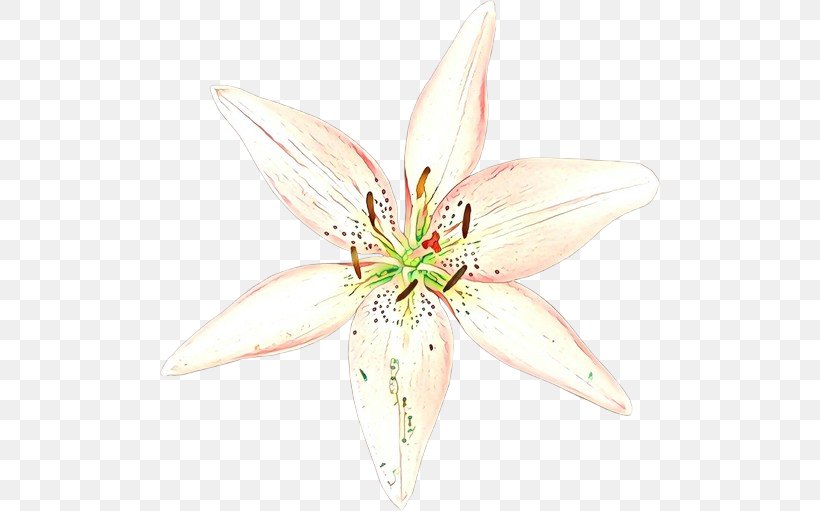 Cut Flowers Lily M, PNG, 500x511px, Cut Flowers, Crinum, Flower, Flowering Plant, Lily Download Free