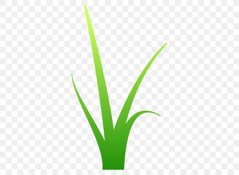 Leaf Grasses Plant Stem Line Font, PNG, 600x600px, Leaf, Flowerpot, Grass, Grass Family, Grasses Download Free