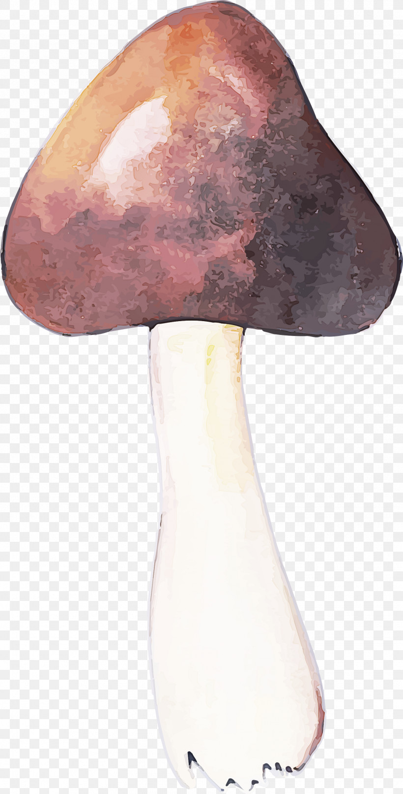 Purple Mushroom, PNG, 1525x2999px, Watercolor Mushroom, Mushroom, Purple Download Free