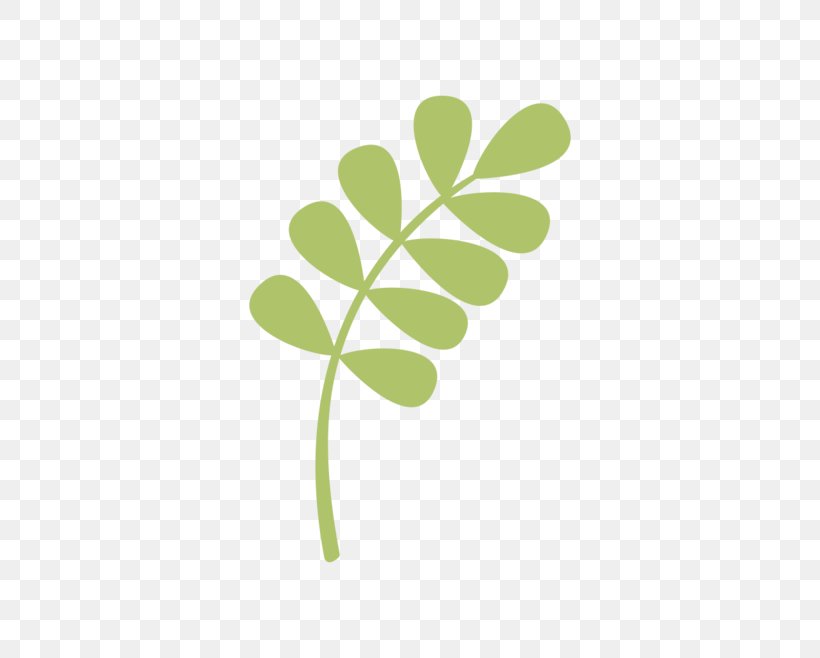 Leaf, PNG, 658x658px, Leaf, Cartoon, Clover, Element, Flowering Plant Download Free