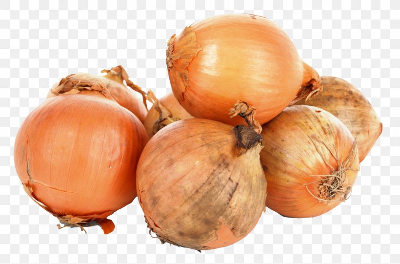 Onion Vegetable Rioja Style Potatoes, PNG, 1454x960px, Onion, Allium, Calabaza, Food, French Onion Soup Download Free