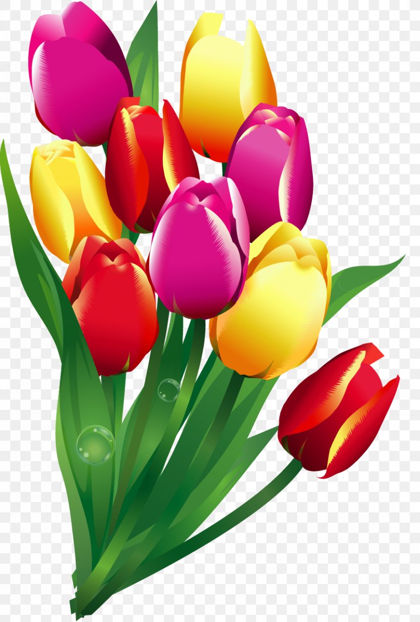 Tulip Clip Art Cut Flowers Flower Bouquet, PNG, 851x1260px, Tulip, Birthday, Cut Flowers, Easter, Floral Design Download Free