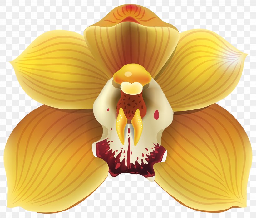 Cypripedium Flower Yellow Clip Art, PNG, 3000x2560px, Cypripedium, Brassolaeliocattleya, Cattleya Orchids, Drawing, Flower Download Free