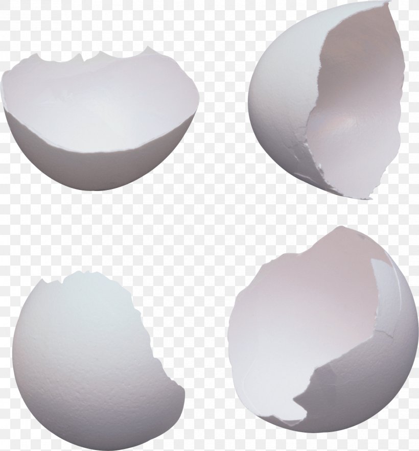 Eggshell Yolk, PNG, 1705x1837px, Eggshell, Easter Egg, Egg, Egg Carton, Egg White Download Free