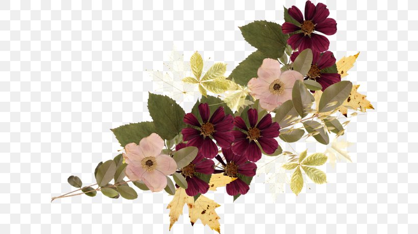 Floral Design Flower Petal, PNG, 650x460px, Floral Design, Blossom, Branch, Color, Cut Flowers Download Free