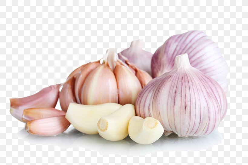 Garlic Food Eating Vegetable, PNG, 1024x683px, Garlic, Allicin, Allium, Bulb, Eating Download Free
