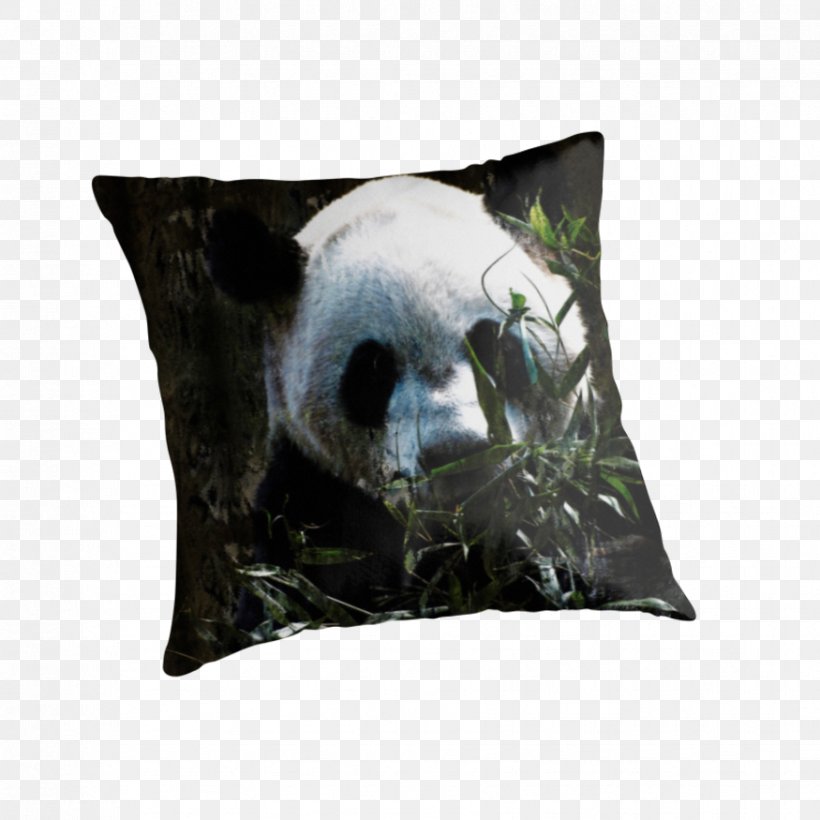 Giant Panda Bear Throw Pillows IPod Touch Cushion, PNG, 875x875px, Giant Panda, Bear, Canvas, Canvas Print, Cushion Download Free