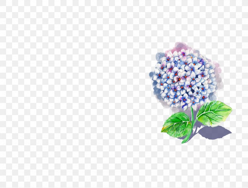 Lilac Hydrangea Flower Violet Pink, PNG, 2000x1516px, Lilac, Blue, Body Jewellery, Body Jewelry, Color Download Free