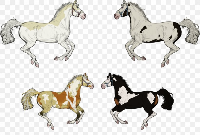 Mustang Foal Stallion Colt Pony, PNG, 1089x734px, Mustang, Animal Figure, Bridle, Colt, Drawing Download Free