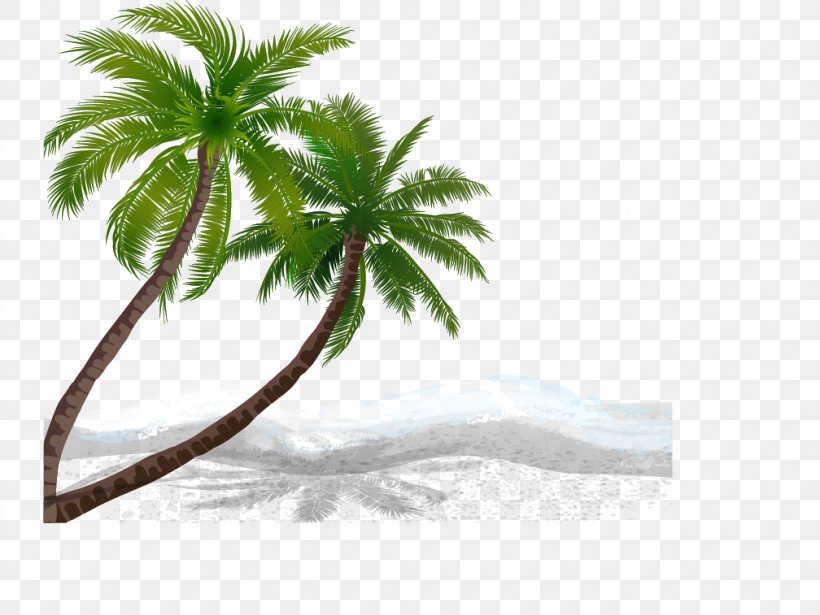 Beach Coconut, PNG, 1008x757px, Beach, Arecales, Branch, Coconut, Google Images Download Free