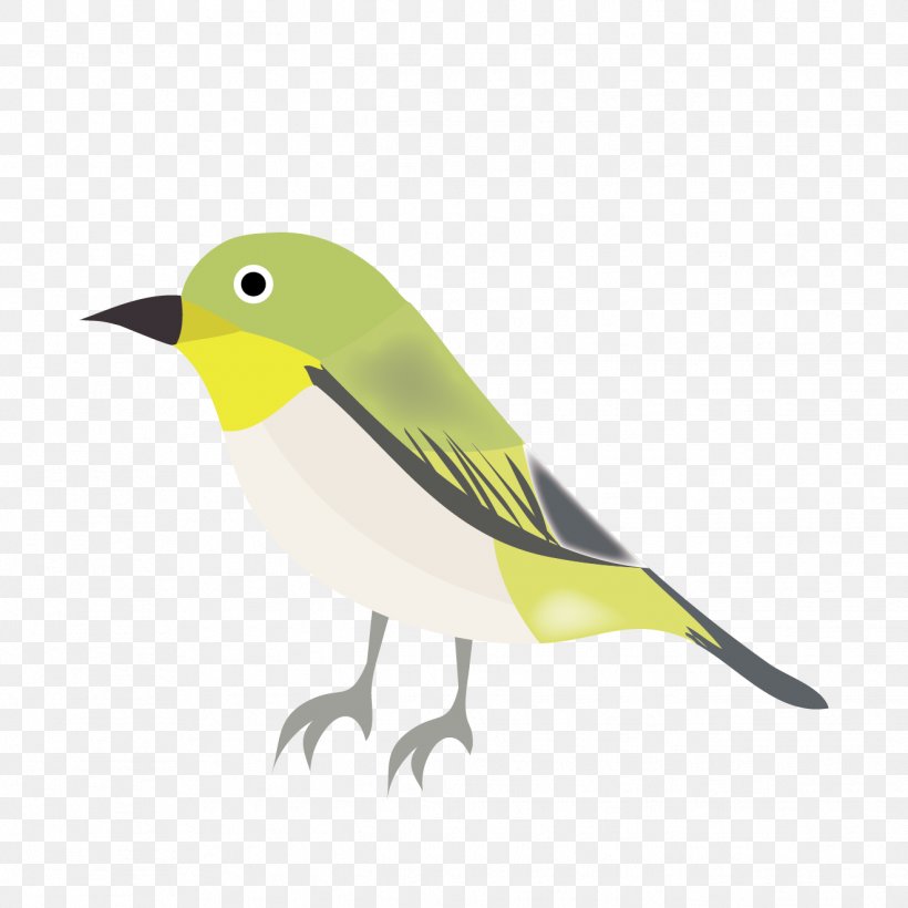 Japanese White-eye Bird Illustration Old World Orioles Design, PNG, 1321x1321px, Japanese Whiteeye, Autumn, Beak, Bird, Cherry Blossom Download Free