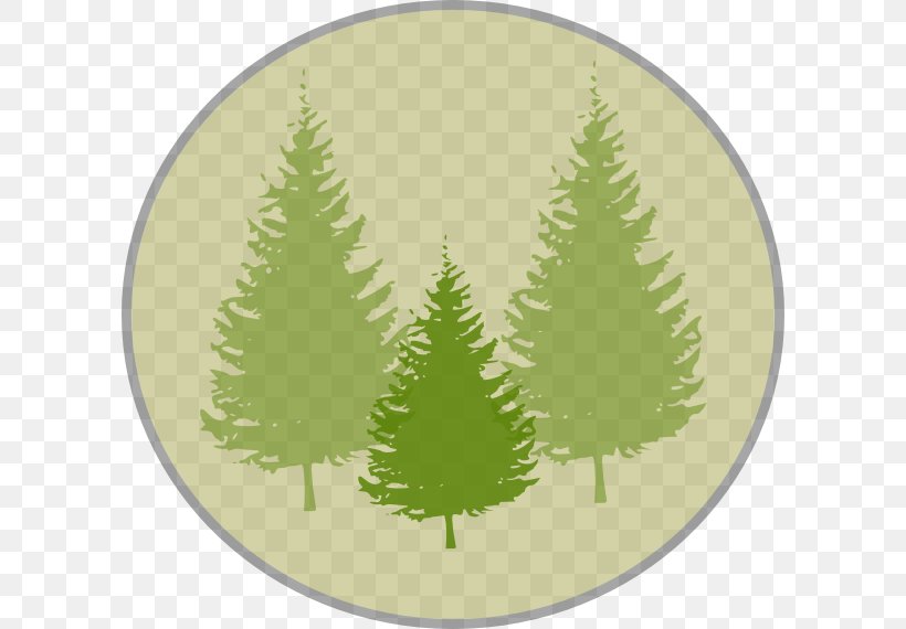Pine Tree Fir Clip Art, PNG, 600x570px, Pine, Branch, Christmas Decoration, Christmas Ornament, Christmas Tree Download Free