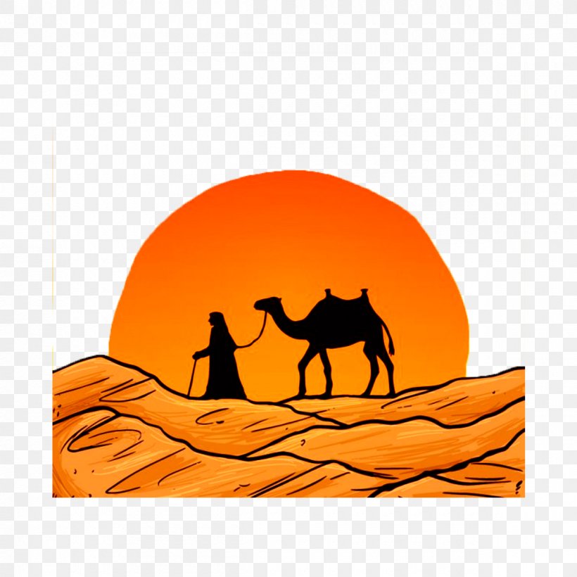 Camel Desert Drawing Oasis, PNG, 1200x1200px, Camel, Art, Camel Like Mammal, Carnivoran, Desert Download Free