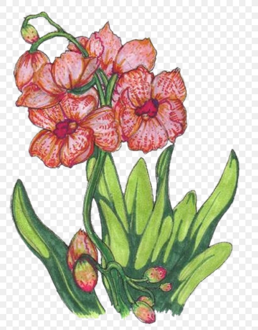 Floral Design Cut Flowers Flowering Plant Flowerpot, PNG, 800x1051px, Floral Design, Cut Flowers, Floristry, Flower, Flower Arranging Download Free