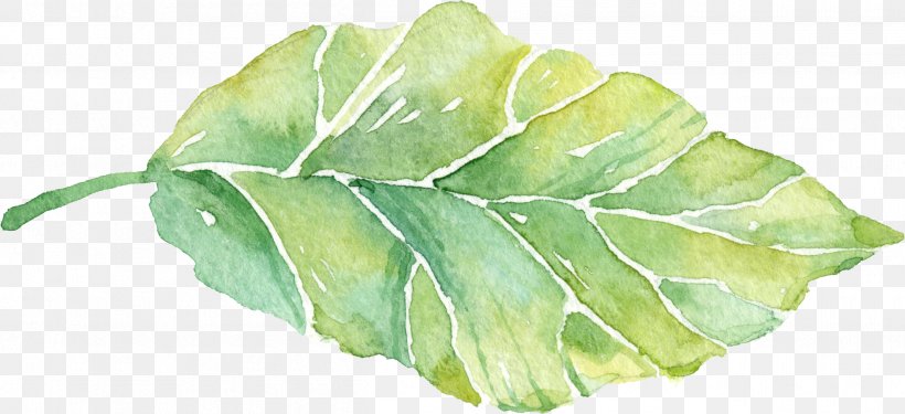 Leaf, PNG, 2516x1151px, Leaf, Artworks, Pixel, Plant, Watercolor Painting Download Free