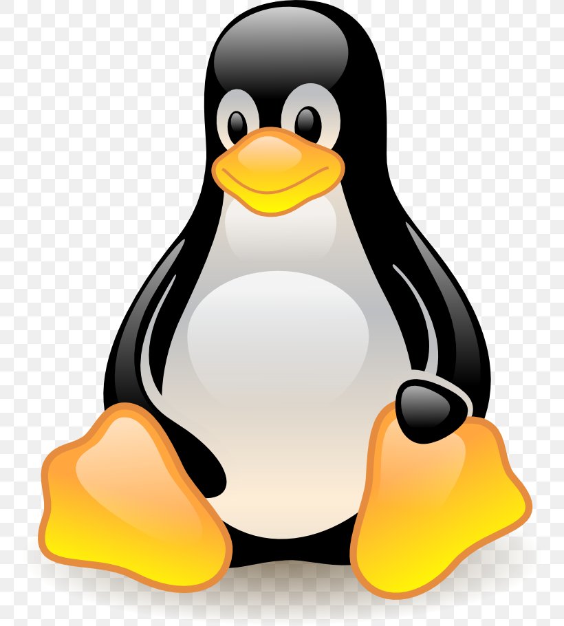 Linux Unix OpenSUSE Operating Systems, PNG, 764x910px, Linux, Beak, Bird, Birt Project, Computer Download Free