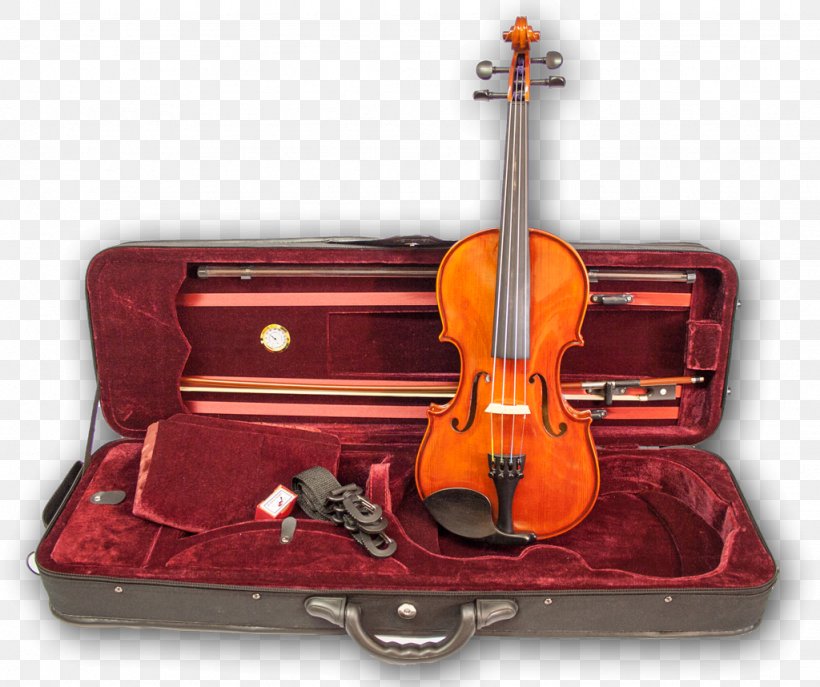 Bass Violin Violone Viola Cello, PNG, 1024x858px, Bass Violin, Acoustic Electric Guitar, Acoustic Guitar, Acousticelectric Guitar, Bowed String Instrument Download Free