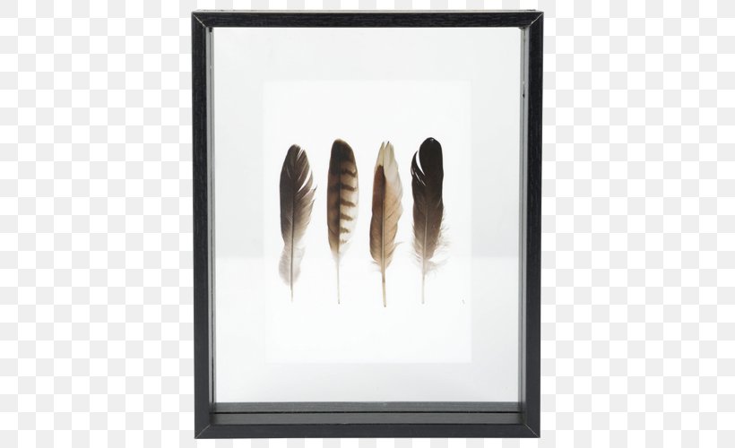 Picture Frames Image Scandinavia Photograph JPEG, PNG, 500x500px, Picture Frames, Disability, Fair, Feather, Health Care Download Free