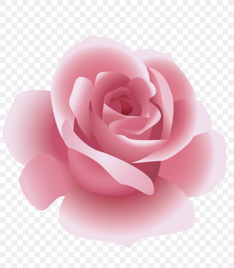 Rosxe9 Rose, PNG, 1400x1600px, Rose, Close Up, Drawing, Flower, Flowering Plant Download Free