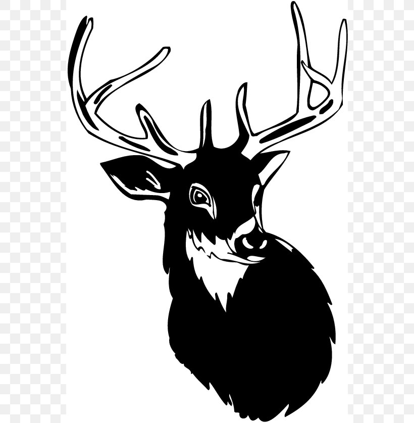 White-tailed Deer Moose Antler Clip Art, PNG, 558x837px, Deer, Antler, Artwork, Black And White, Deer Hunting Download Free