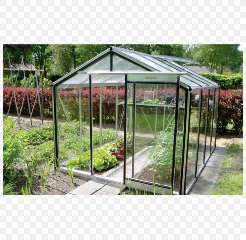 Greenhouse Toughened Glass Garden Abri De Jardin, PNG, 800x800px, Greenhouse, Abri De Jardin, Canopy, Garden, Gardening Download Free