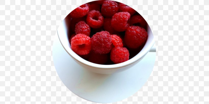 Healthy Diet Vlog Health Food, PNG, 1000x500px, Health, Berry, Blog, Dessert, Diet Download Free