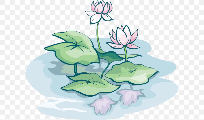 Sacred Lotus Vector Graphics Image Illustration Graphic Design, PNG, 615x482px, Sacred Lotus, Art, Coreldraw, Flora, Floral Design Download Free