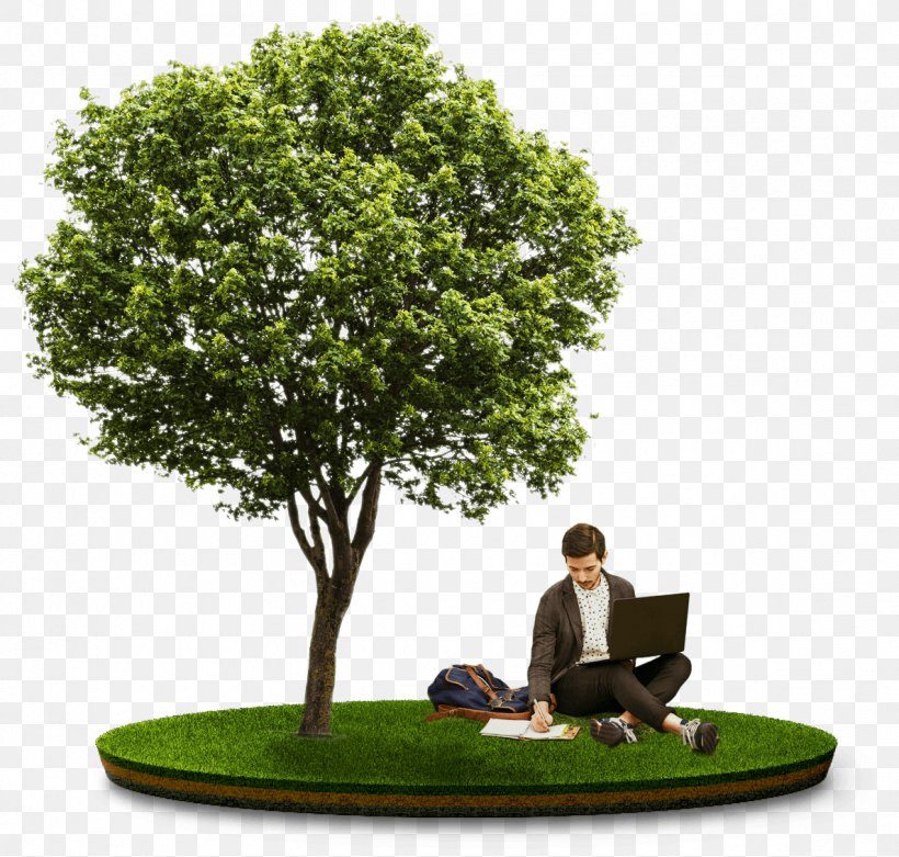 Stock Photography Display Resolution Tree, PNG, 1188x1132px, Stock Photography, Computer Monitors, Display Resolution, Flowerpot, Grass Download Free