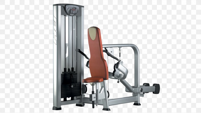 Triceps Brachii Muscle Elliptical Trainers Fitness Centre Machine Bench Press, PNG, 1920x1080px, Triceps Brachii Muscle, Barbell, Bench Press, Biceps, Biceps Curl Download Free