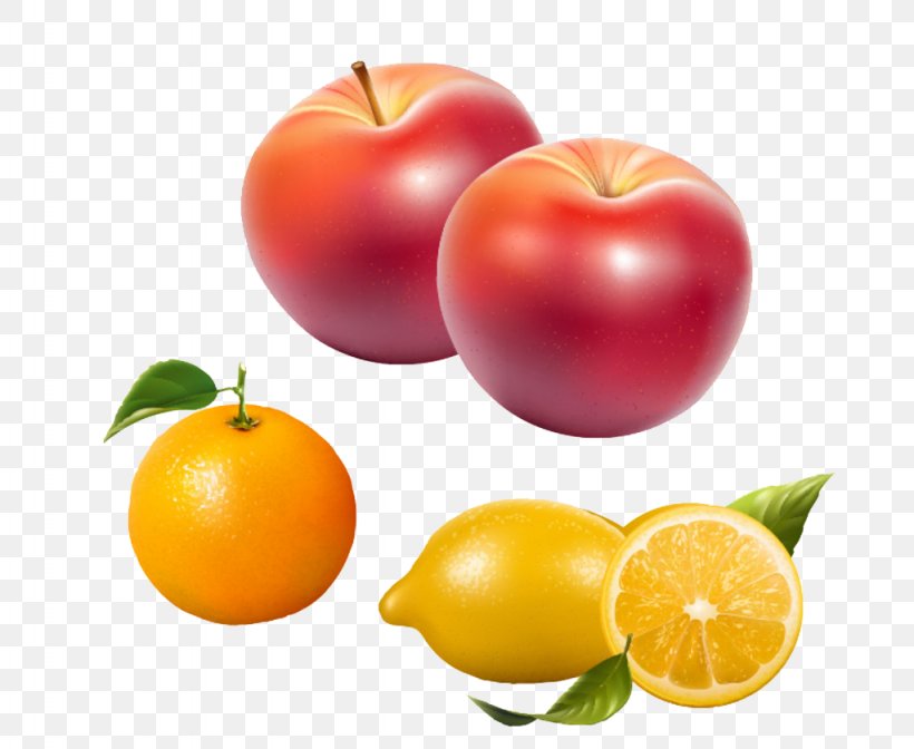 Apple Fruit Download Clip Art, PNG, 1024x840px, Apple, Citrus, Clementine, Diet Food, Drawing Download Free