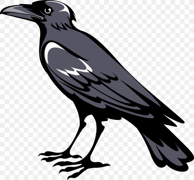 Coat Of Arms Crows Symbol Heraldry, PNG, 3000x2786px, Coat Of Arms, American Crow, Artwork, Beak, Bird Download Free