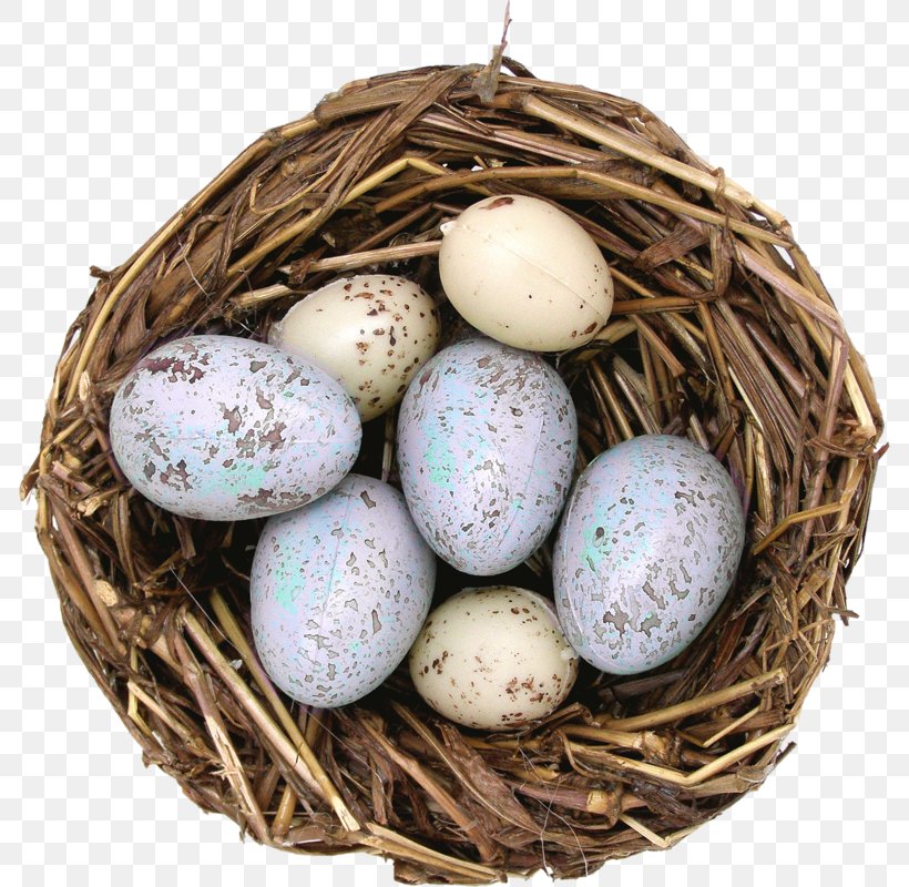Edible Bird's Nest Egg Edible Bird's Nest House Sparrow, PNG, 786x800px, Bird, Bird Nest, Birds Nests And Eggs, Carrion Crow, Drawing Download Free