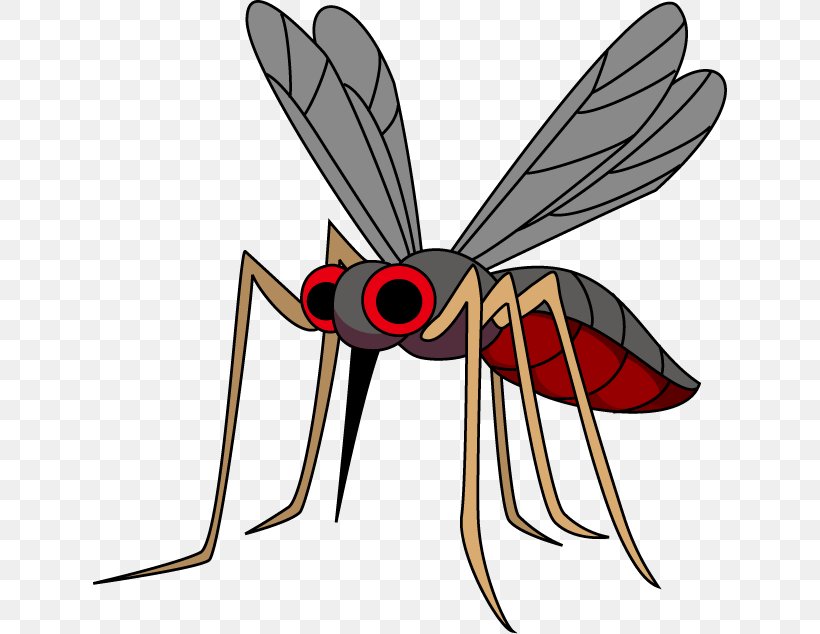 Mosquito Dengue 虫 Disease West Nile Fever, PNG, 634x634px, Mosquito, Aedes Albopictus, Arthropod, Dengue, Dengue Virus Download Free