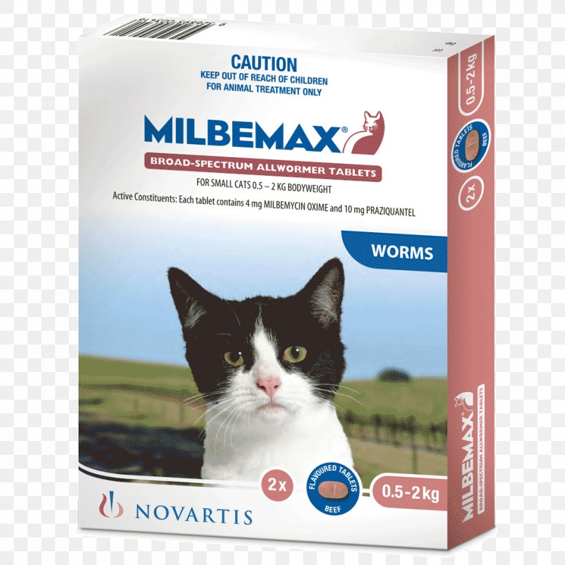 Cat Kitten Heartworm Milbemycin Oxime, PNG, 1000x1000px, Cat, Cat Like Mammal, Heartworm, Hookworm Infection, Kitten Download Free