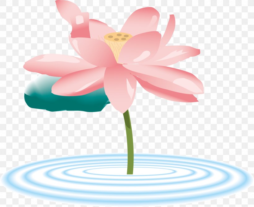 Clip Art Vector Graphics Sacred Lotus Illustration, PNG, 1623x1324px, Sacred Lotus, Aquatic Plant, Automotive Wheel System, Botany, Flower Download Free