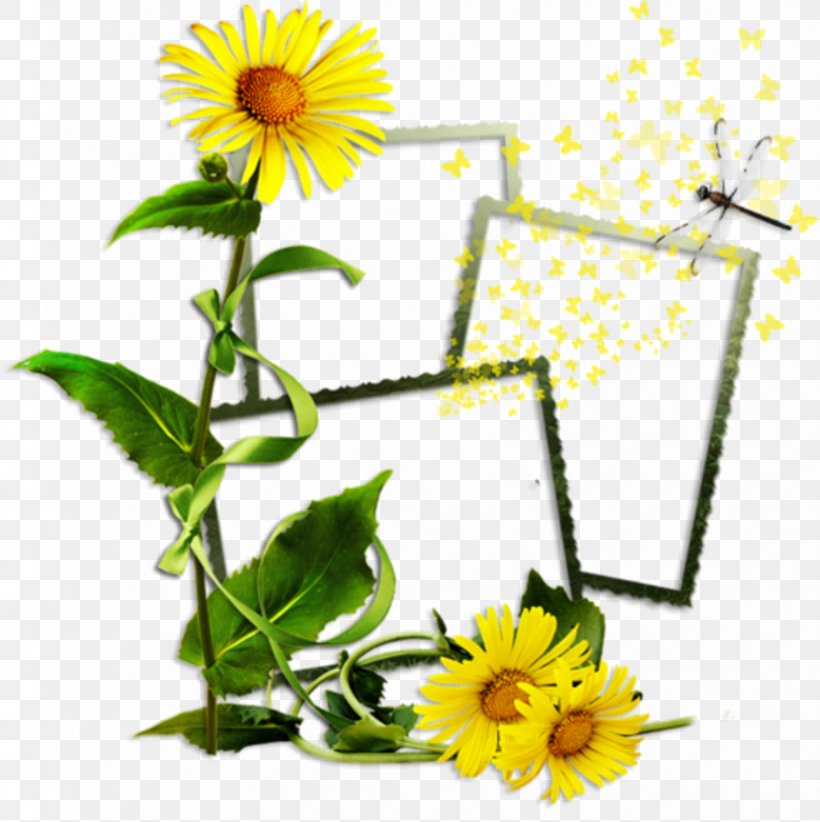 Common Sunflower Clip Art, PNG, 830x833px, 2012, Flower, August, Cartoon, Common Sunflower Download Free