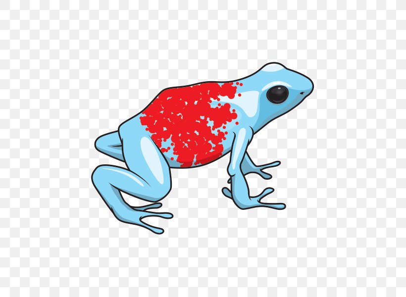 Frog Cartoon, PNG, 600x600px, Toad, Agalychnis, Cane Toad, Cartoon, Drawing Download Free