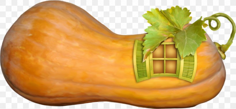 Pumpkin Gourd Winter Squash Cucurbita Maxima Butternut Squash, PNG, 860x400px, Pumpkin, Butternut Squash, Calabaza, Coloquinte, Courge Download Free