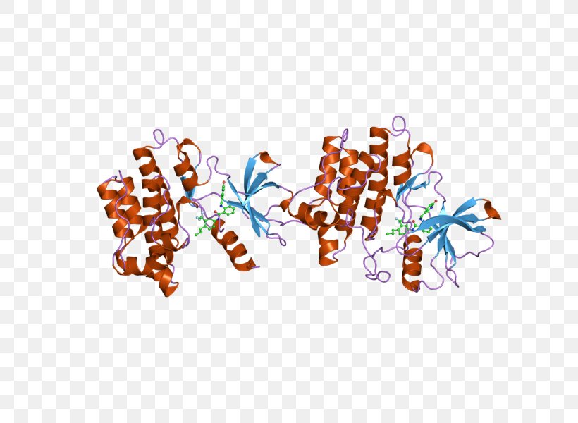 ABL2 Oncogene Protein, PNG, 800x600px, Abl, Arsenic, Enzyme, Gene, Homo ...