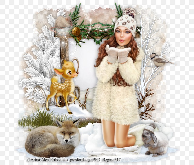 Christmas Ornament Fur Animal, PNG, 700x700px, Christmas Ornament, Animal, Christmas, Fur Download Free