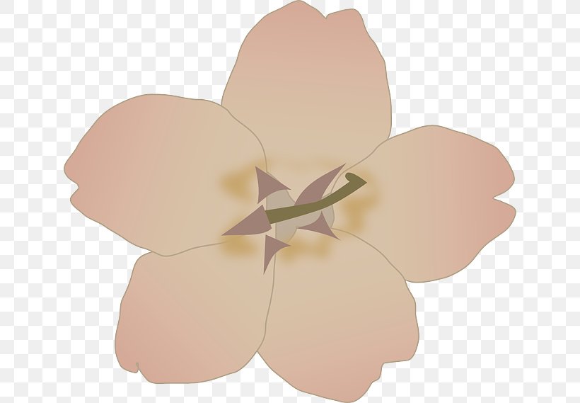 Cherry Blossom Clip Art, PNG, 640x569px, Cherry Blossom, Blog, Blossom, Flower, Flowering Plant Download Free