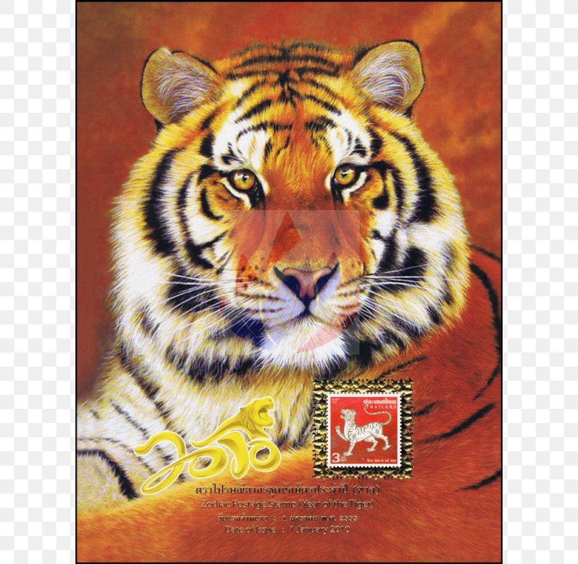 Golden Tiger Siberian Tiger Bengal Tiger Felidae, PNG, 800x800px, Golden Tiger, Animal, Bengal Tiger, Big Cat, Big Cats Download Free