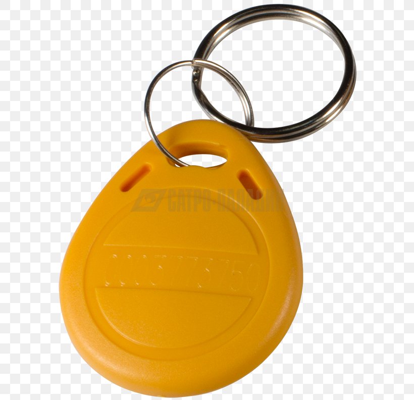 Key Chains EM-4100 Proximity Card Moscow Access Control, PNG, 600x792px, Key Chains, Access Control, Artikel, Fashion Accessory, Identifier Download Free