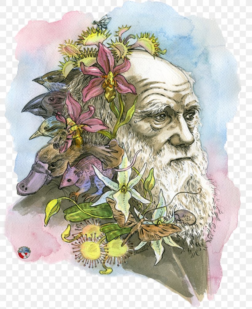 The Beak Of The Finch: A Story Of Evolution In Our Time The Voyage Of The Beagle The Theory Of Evolution Darwin Day, PNG, 1685x2068px, Voyage Of The Beagle, Art, Biological Illustration, Charles Darwin, Darwin Day Download Free